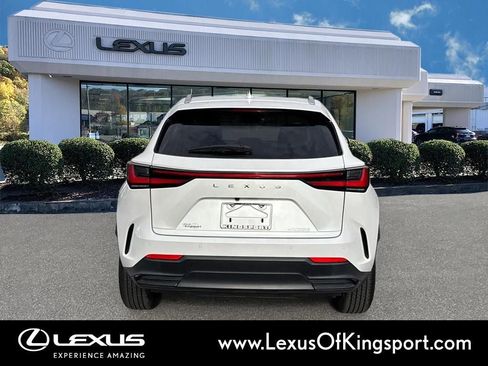 Used 2025 Lexus NX 250 FWD w/ Cold Area Package image 4