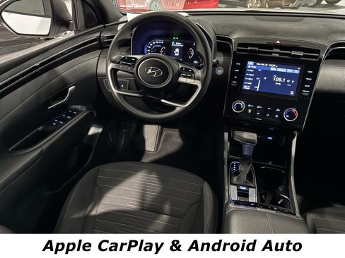 Used 2023 Hyundai Santa Cruz SEL w/ Cargo Package image 4