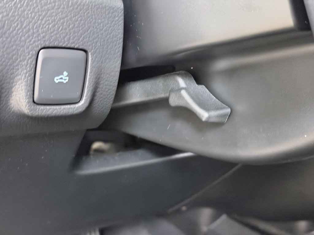Used 2019 Ford Ranger XLT w/ Equipment Group 301A Mid AWD/4WD image 43