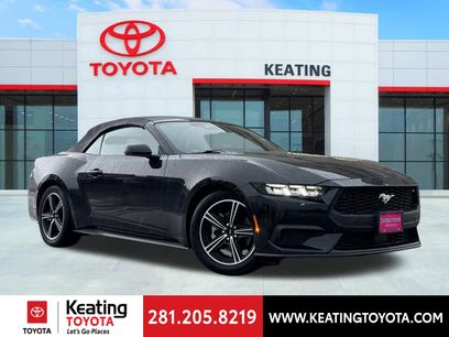 Used 2024 Ford Mustang Premium