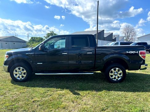 Used 2014 Ford F150 XLT w/ Equipment Group 302A Luxury image 4