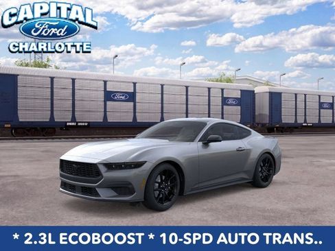 New 2026 Ford Mustang Coupe w/ Mustang Nite Pony Package RWD image 1