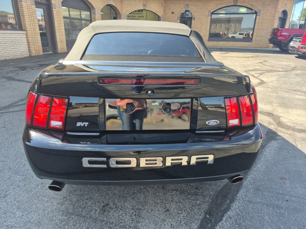 Used 2003 Ford Mustang Cobra RWD image 6