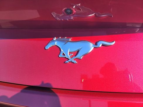 Used 2025 Ford Mustang Premium image 7