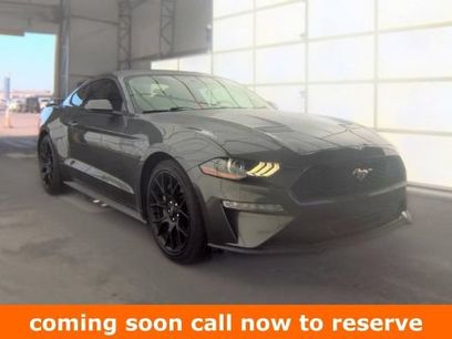 Used 2019 Ford Mustang Coupe w/ Ecoboost Performance Package