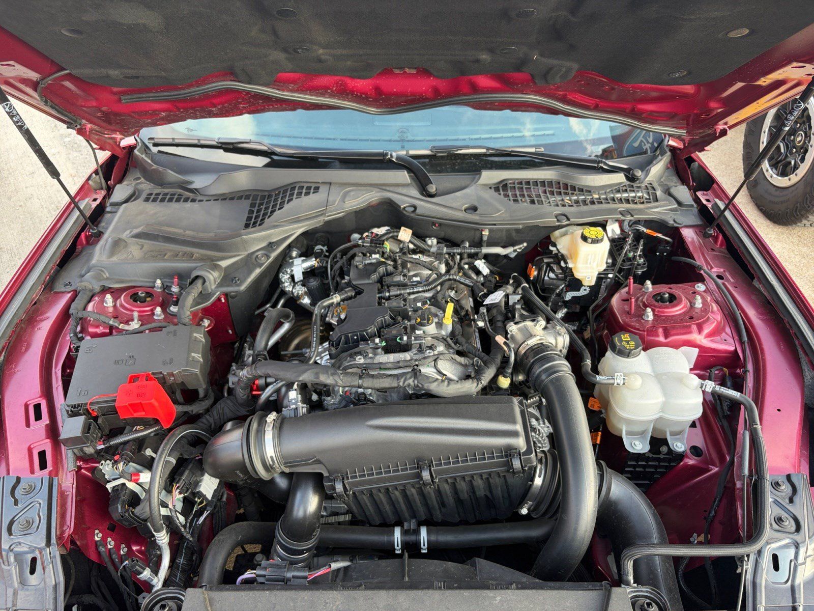 Used 2025 Ford Mustang Coupe RWD image 24