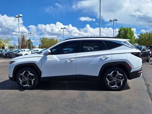 Used 2023 Hyundai Tucson Limited AWD/4WD image 5