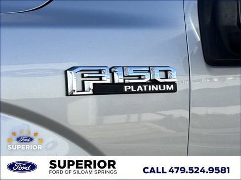 Used 2019 Ford F150 Platinum image 14