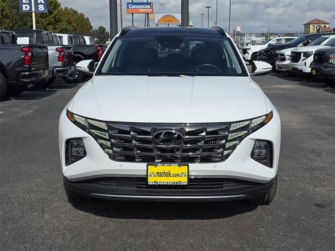 Used 2024 Hyundai Tucson Limited image 2