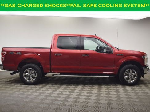 Used 2019 Ford F150 XLT w/ Equipment Group 302A Luxury image 15