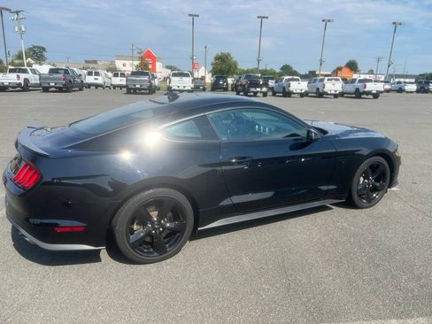 Used 2023 Ford Mustang GT Premium w/ Mustang Nite Pony Package RWD image 3