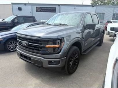 Used 2024 Ford F150 XLT w/ Equipment Group 302A MID