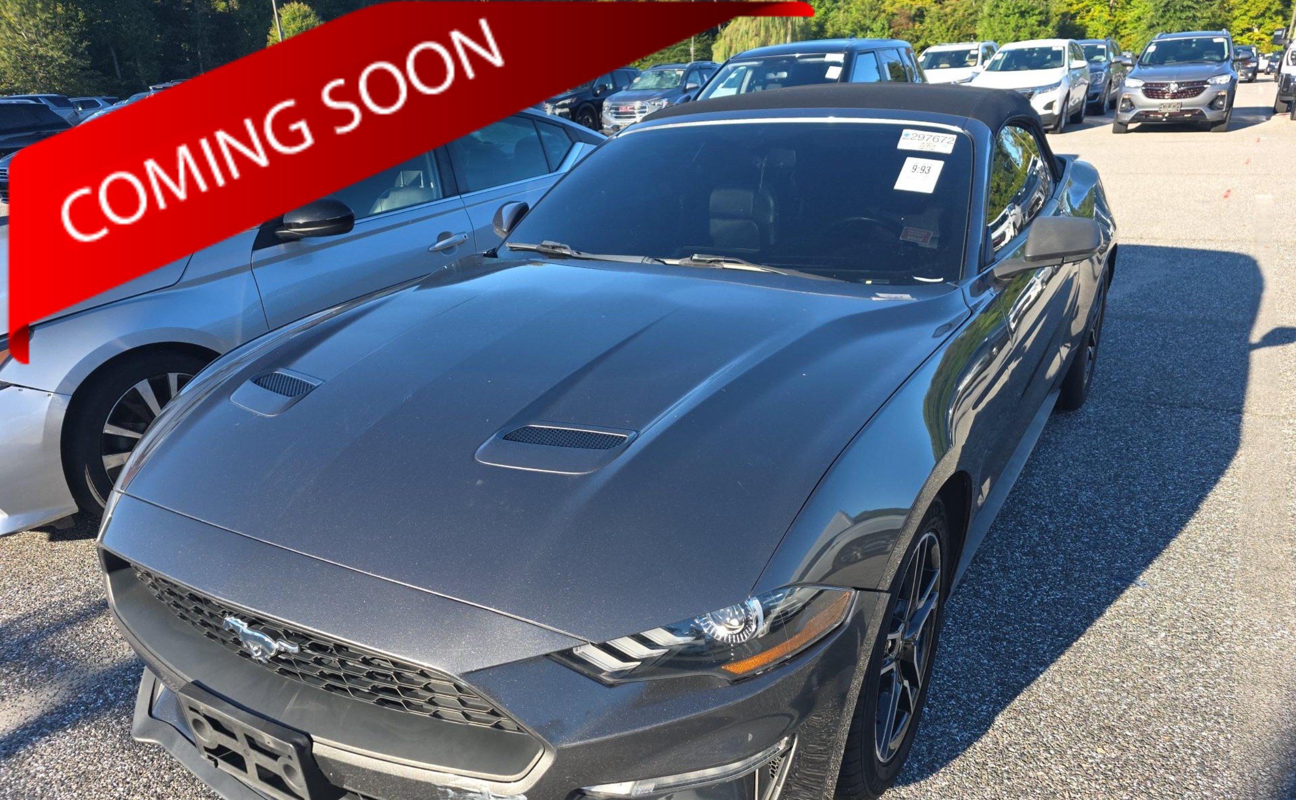 Used 2019 Ford Mustang Premium RWD image 1
