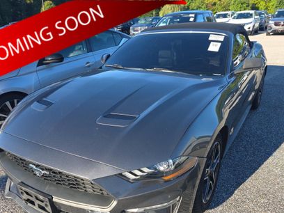 Used 2019 Ford Mustang Premium