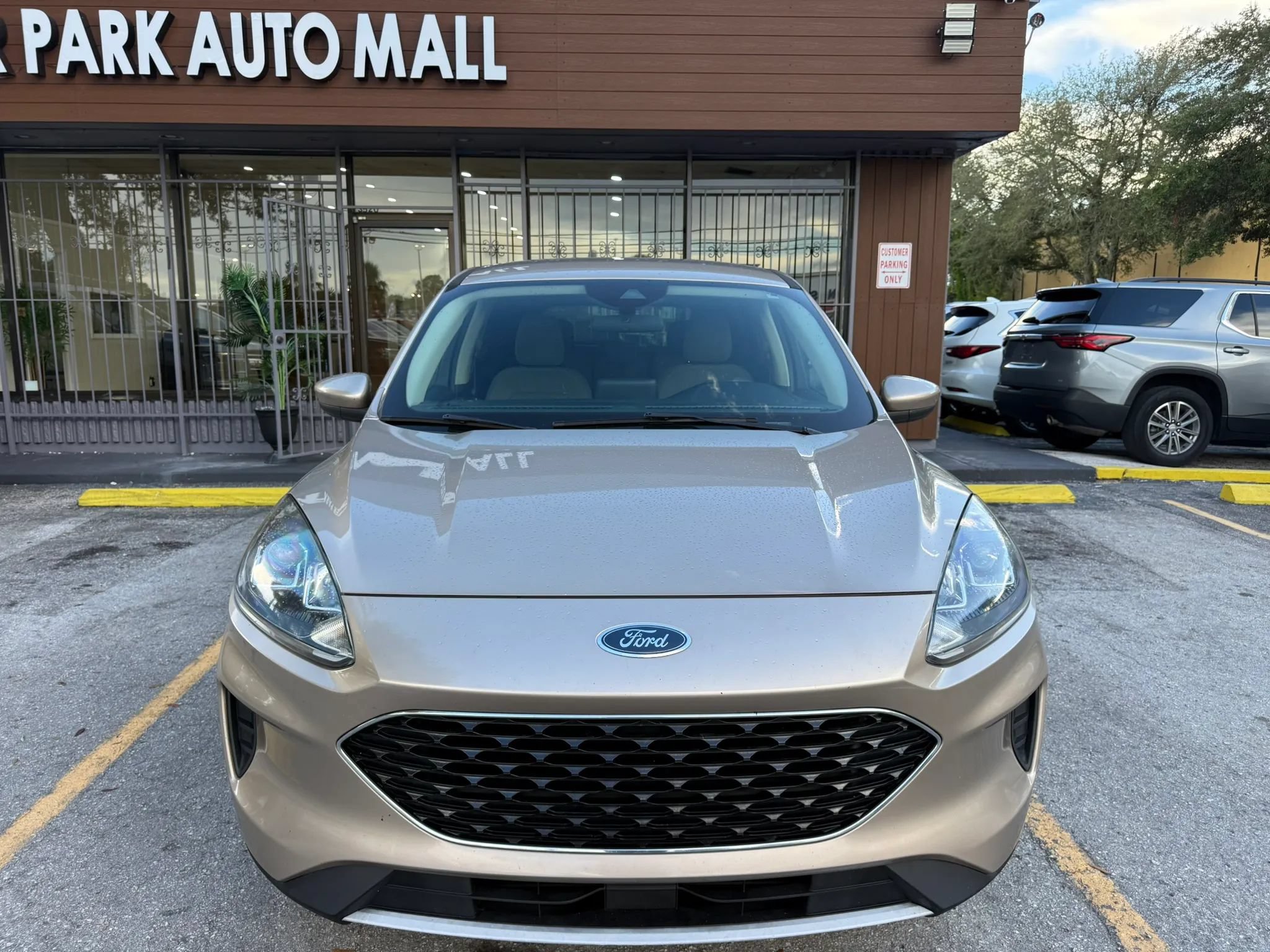 Used 2020 Ford Escape SE AWD/4WD image 2
