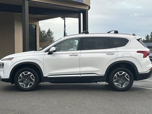 Used 2021 Hyundai Santa Fe Blue image 7