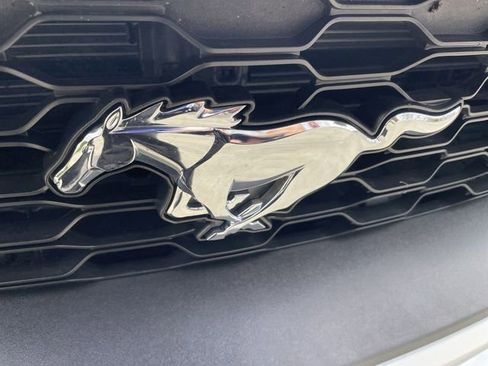 Used 2022 Ford Mustang Coupe w/ Equipment Group 101A RWD image 29