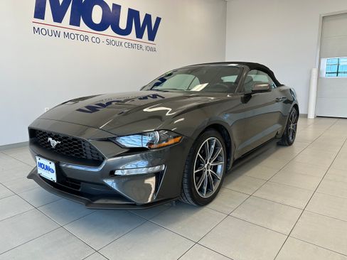 Used 2019 Ford Mustang Premium w/ Equipment Group 201A RWD image 2