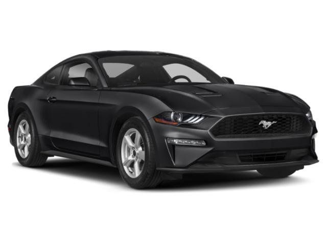 Used 2018 Ford Mustang GT Premium w/ Equipment Group 401A RWD image 6