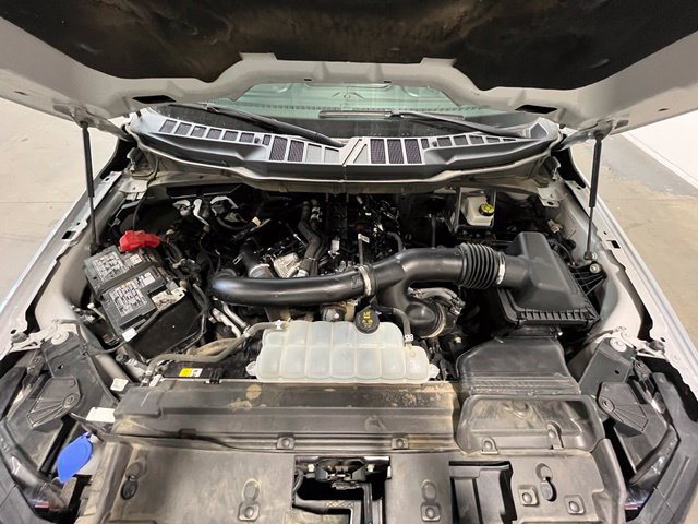 Used 2025 Ford F150 XLT w/ Equipment Group 301A Standard RWD image 26