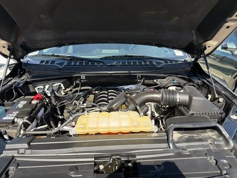 Used 2019 Ford F150 XLT w/ Equipment Group 302A Luxury AWD/4WD image 34