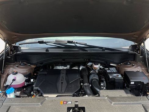 Used 2024 Hyundai Santa Fe Calligraphy AWD/4WD image 20