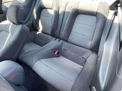 New 2026 Ford Mustang Coupe w/ Mustang Nite Pony Package image 11