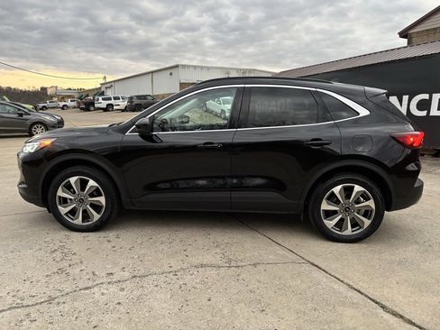 Used 2024 Ford Escape Platinum image 4