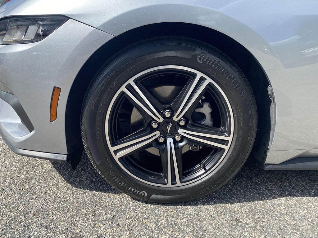 Used 2024 Ford Mustang Premium RWD image 10