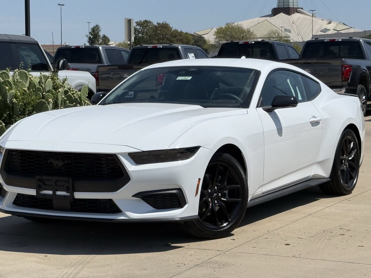 New 2026 Ford Mustang Premium RWD image 1