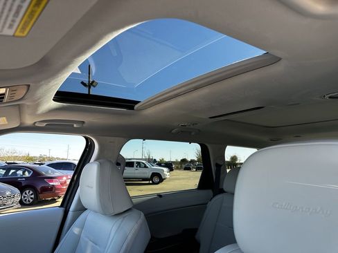 New 2026 Hyundai Palisade Calligraphy image 18