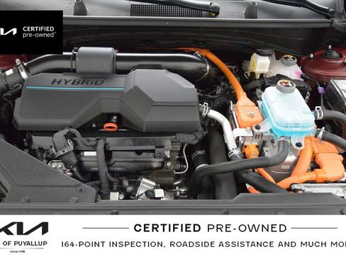 Used 2024 Kia Sportage X-Line image 20