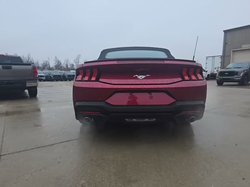 Used 2025 Ford Mustang Premium w/ Wheel & Stripe Package image 6