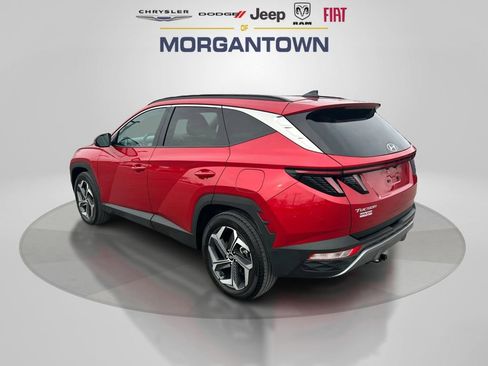 Used 2022 Hyundai Tucson Limited image 7