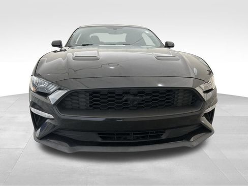 Used 2019 Ford Mustang Coupe w/ Equipment Group 101A image 9