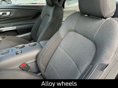 New 2026 Ford Mustang Coupe w/ Bronze Appearance Package image 12