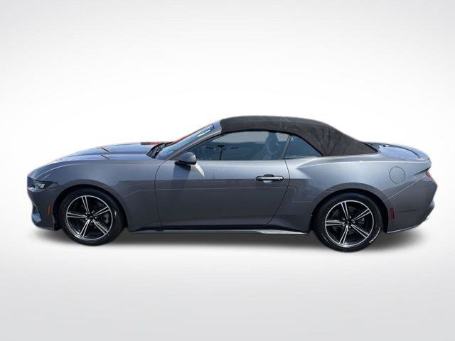 Used 2024 Ford Mustang Premium RWD image 3