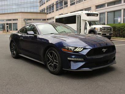 Used 2019 Ford Mustang Coupe w/ Equipment Group 101A