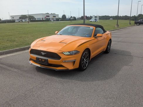 Used 2019 Ford Mustang Premium w/ Equipment Group 201A RWD image 7