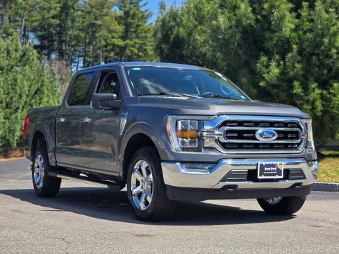 Used 2023 Ford F150 XLT w/ Equipment Group 302A High AWD/4WD image 1