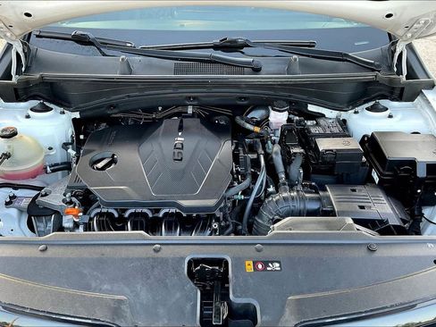 Used 2023 Kia Sportage X-Pro Prestige image 9