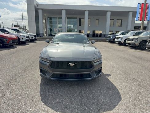 Certified 2024 Ford Mustang Premium image 3