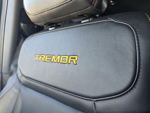 Certified 2025 Ford Expedition Tremor image 36