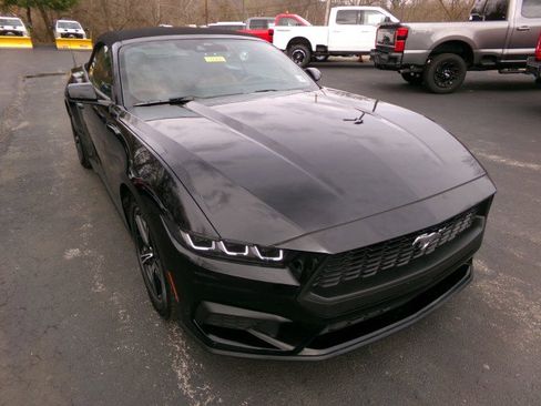 Used 2024 Ford Mustang Premium image 2