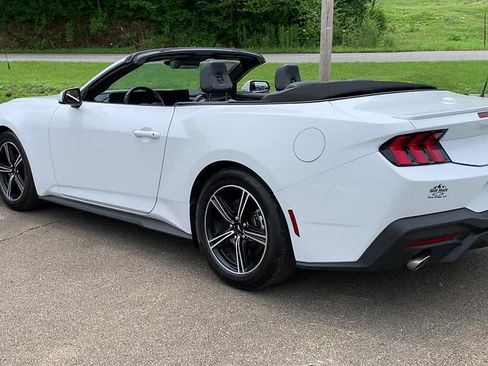 Used 2025 Ford Mustang Premium RWD image 3