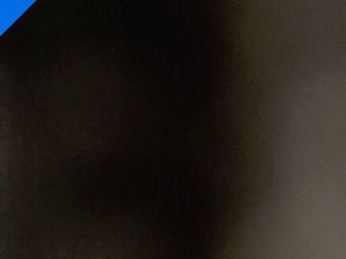 Used 2017 Chevrolet Silverado 1500 LT w/ All Star Edition image 5