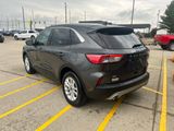 Used 2020 Ford Escape SE image 5