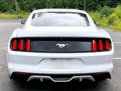 Used 2015 Ford Mustang Premium w/ Equipment Group 201A RWD image 5