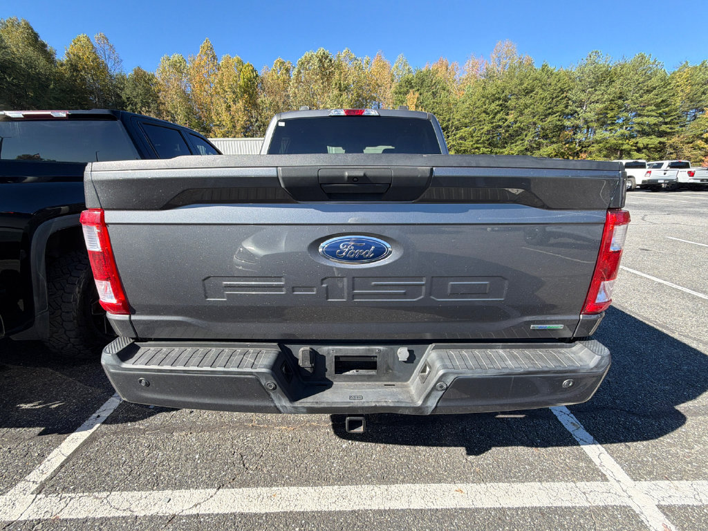Used 2023 Ford F150 XL w/ STX Appearance Package RWD image 5