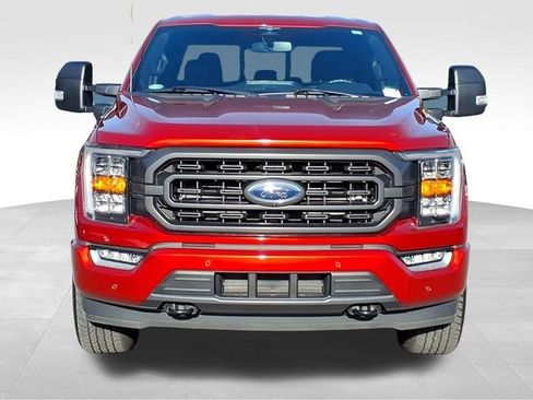Used 2023 Ford F150 XLT w/ Equipment Group 302A High AWD/4WD image 15